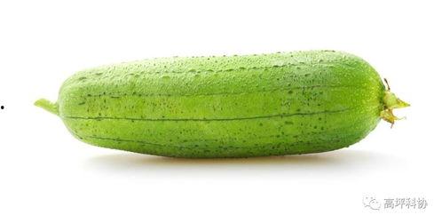 吃的瓜种,探寻各式瓜果的独特风味与营养价值