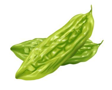 花式吃瓜在宁夏,花式吃瓜体验之旅