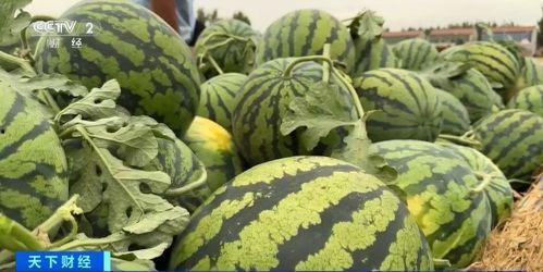 谷江山现场吃瓜,揭秘娱乐圈幕后风云