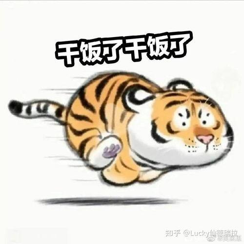 老虎吃瓜表情,揭秘动物界的幽默瞬间