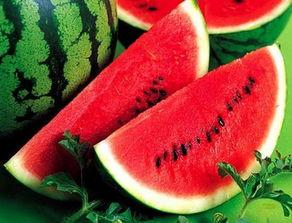 西瓜条子吃瓜现场,现场吃瓜狂欢记