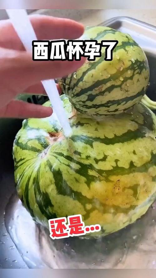 陵县吃瓜视频,揭秘当地美食文化盛宴