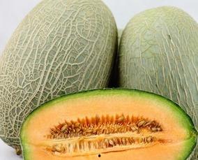 吃哈密瓜小子,甜蜜滋味中的童年回忆