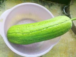 吃瓜水瓜好吗,水瓜，吃瓜族的新选择