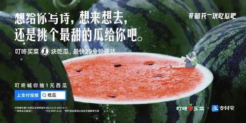 吃瓜彩宝文案,一场视觉与味蕾的双重盛宴