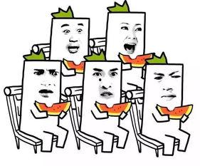 吃瓜不问价含义,轻松应对社交圈中的是非风波