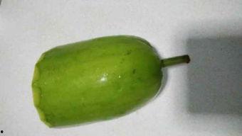 阴虚可以吃浦瓜吗,养生保健新选择