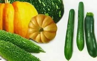 吃瓜小夏夏,揭秘娱乐圈那些不为人知的幕后故事